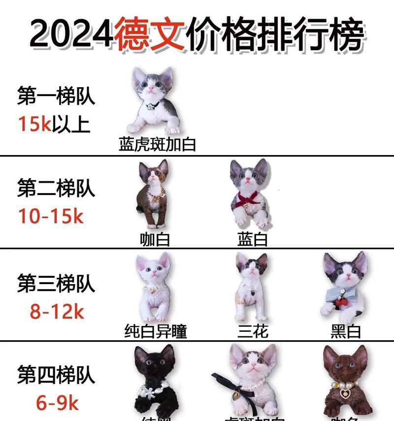 德文猫粮中有哪些良心推荐品牌？