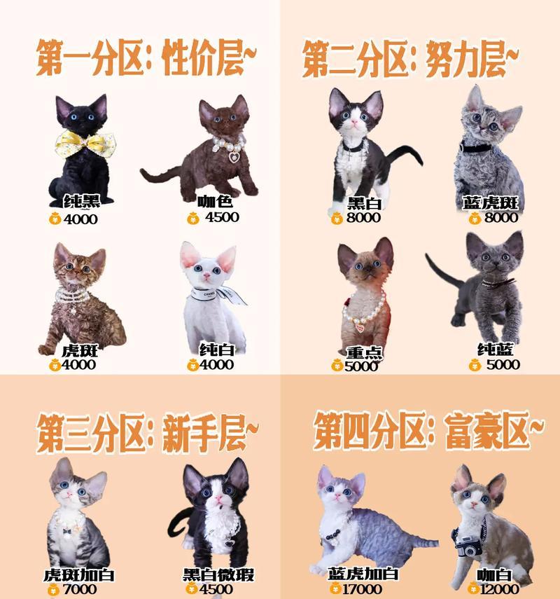 德文猫粮中有哪些良心推荐品牌？
