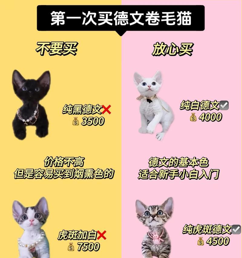 德文猫粮中有哪些良心推荐品牌？