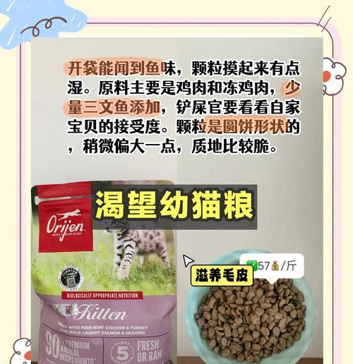 幼猫应该吃什么猫粮才能健康成长？