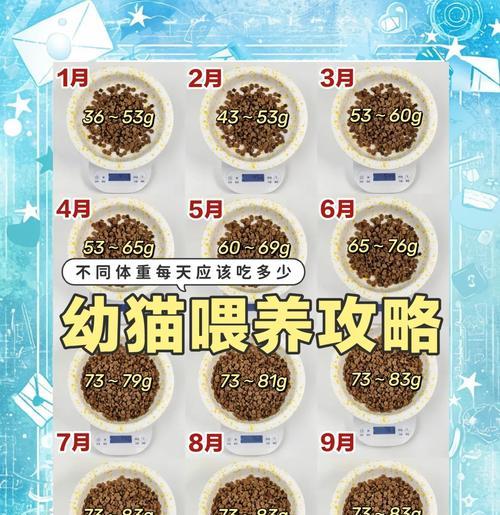 幼猫应该吃什么猫粮才能健康成长？