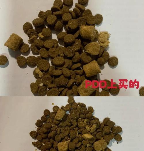 猫粮中红藻变绿的原因是什么？