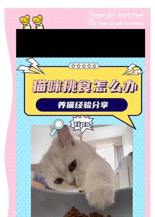 如何阻止猫咪吃猫粮？有效的方法有哪些？