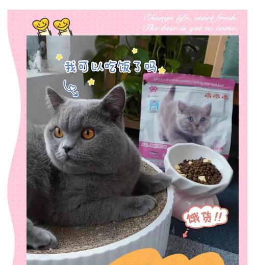 桃源深处有人家的哪些鱼适合制作猫粮？