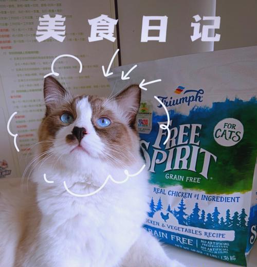 新猫接回家如何正确更换猫粮？最佳步骤是什么？