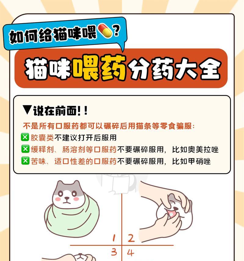 如何喂食布偶猫以促进爆毛？