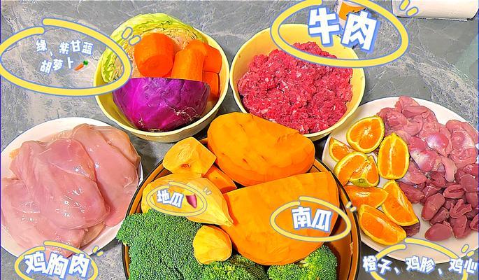 一个月德牧应该吃几顿饭？如何合理安排喂食次数？