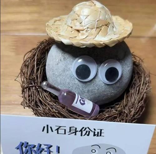 石头猫粮的外观特征是什么？