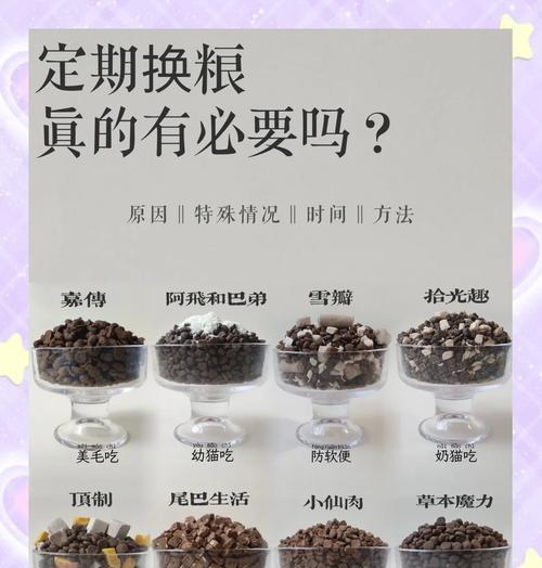 猫换粮吐白沫正常么？需要服用什么药物吗？