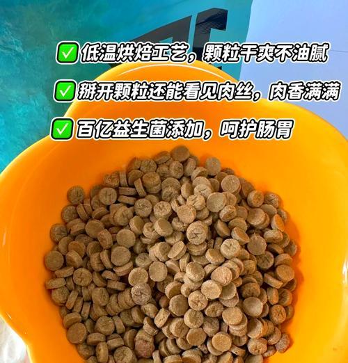猫换粮吐白沫正常么？需要服用什么药物吗？