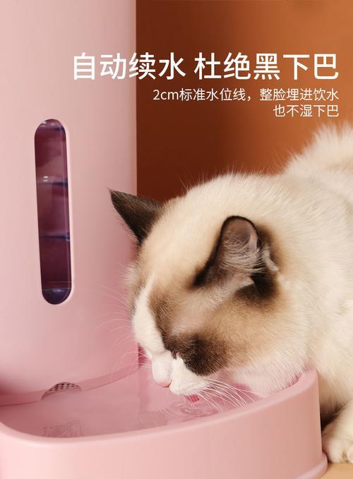 风扇自动投放猫粮故障解决？